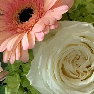 Meet your Posher, Monica